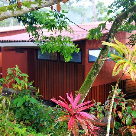 Villa Casitas Eco Bambu Cartago Esterno foto