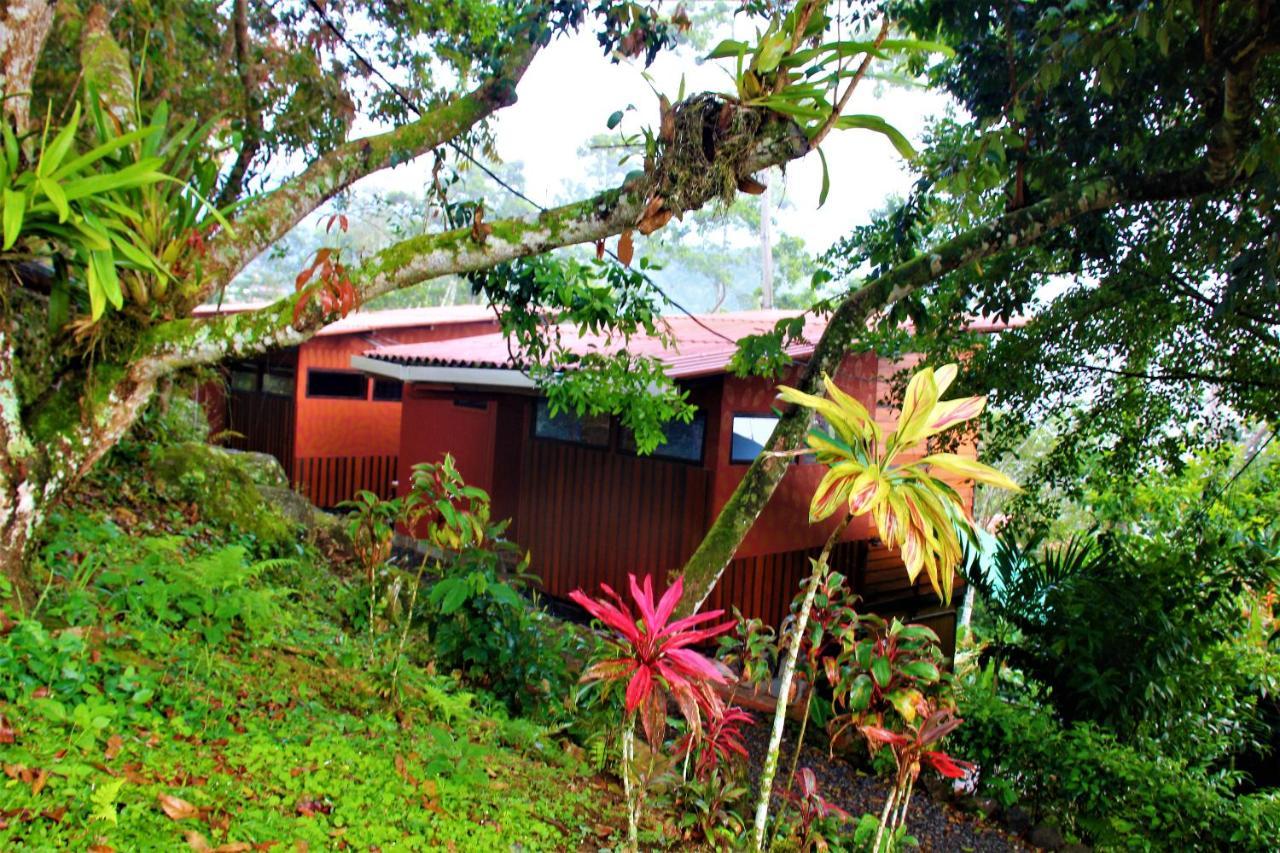 Villa Casitas Eco Bambu Cartago Esterno foto