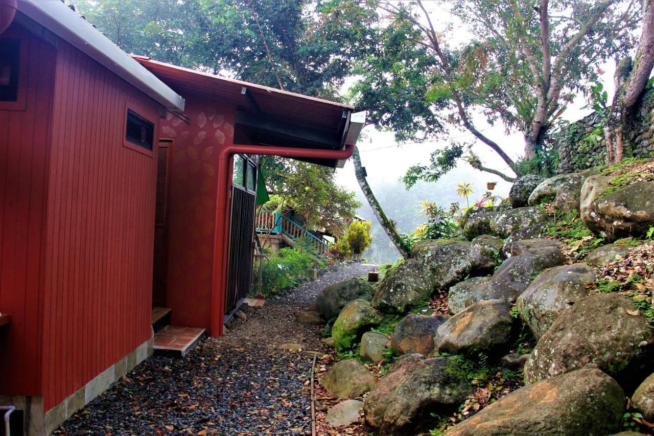 Villa Casitas Eco Bambu Cartago Esterno foto
