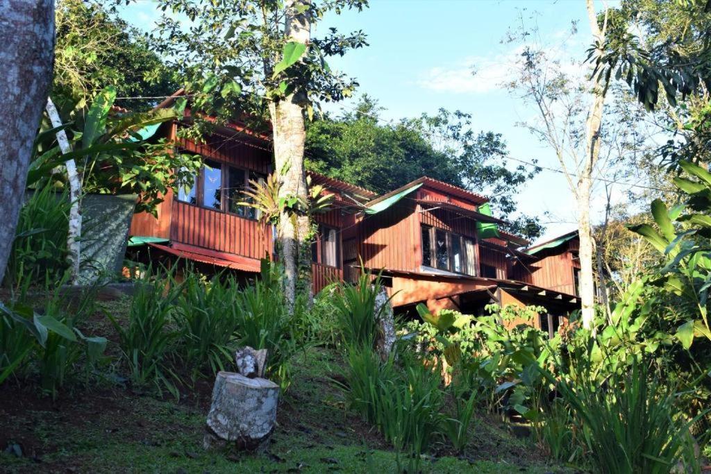 Villa Casitas Eco Bambu Cartago Esterno foto